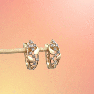 Earrings 2.320